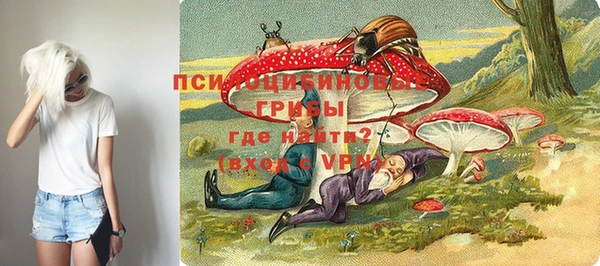 дживик Армянск